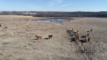 Daviess County Land Auction – Tract 2 Big Pond, Build Site - image 2