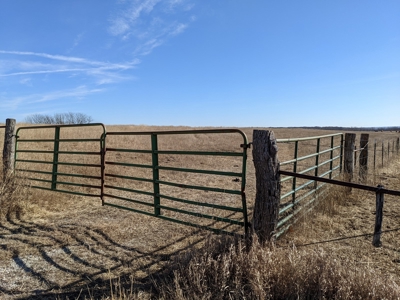 Daviess County Land Auction – Tract 2 Big Pond, Build Site - image 21