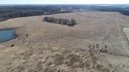 Daviess County Land Auction – Tract 2 Big Pond, Build Site - image 8