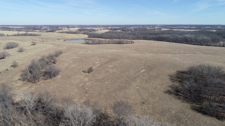 Daviess County Land Auction – Tract 2 Big Pond, Build Site - image 15