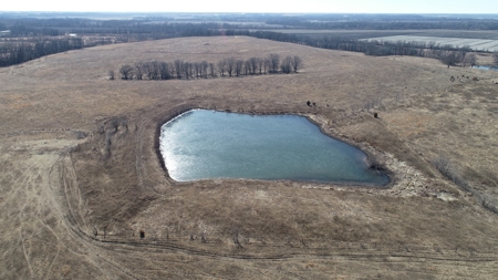 Daviess County Land Auction – Tract 2 Big Pond, Build Site - image 9