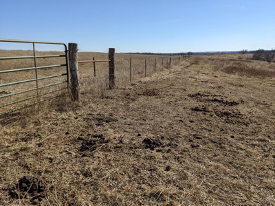 Daviess County Land Auction – Tract 2 Big Pond, Build Site - image 24