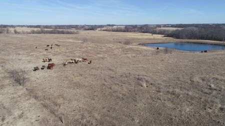 Daviess County Land Auction – Tract 2 Big Pond, Build Site - image 12