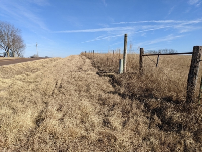 Daviess County Land Auction – Tract 2 Big Pond, Build Site - image 23
