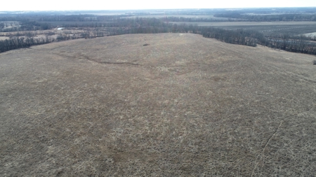 Daviess County Land Auction – Tract 2 Big Pond, Build Site - image 7