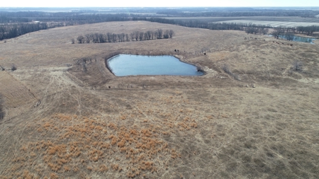 Daviess County Land Auction – Tract 2 Big Pond, Build Site - image 10