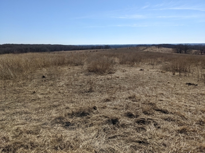 Daviess County Land Auction – Tract 2 Big Pond, Build Site - image 20