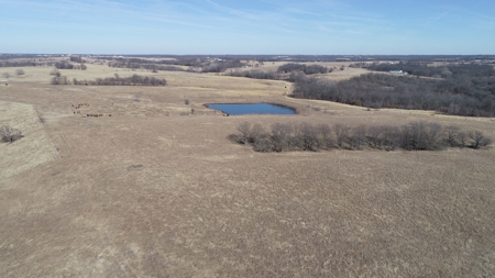Daviess County Land Auction – Tract 2 Big Pond, Build Site - image 18