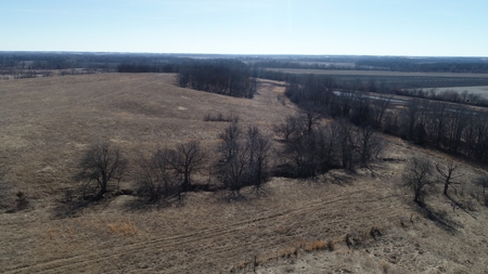 Daviess County Land Auction – Tract 2 Big Pond, Build Site - image 14