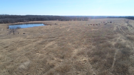 Daviess County Land Auction – Tract 2 Big Pond, Build Site - image 11