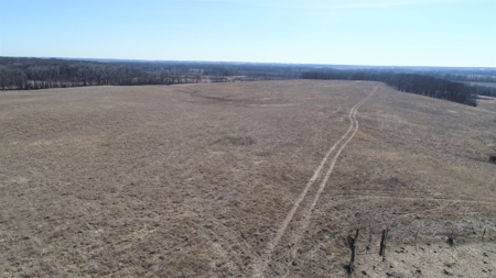 Daviess County Land Auction – Tract 2 Big Pond, Build Site - image 13