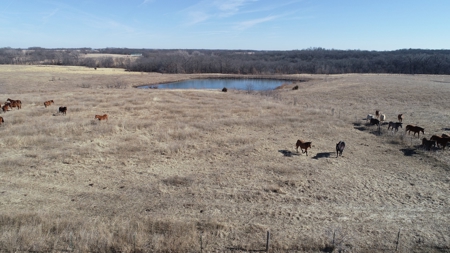Daviess County Land Auction – Tract 2 Big Pond, Build Site - image 1