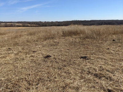Daviess County Land Auction – Tract 2 Big Pond, Build Site - image 22