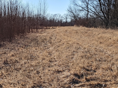 Daviess County Land Auction – Tract 3 Top-shelf Duck & Deer - image 17
