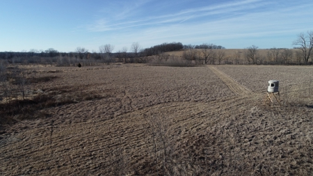 Daviess County Land Auction – Tract 3 Top-shelf Duck & Deer - image 5