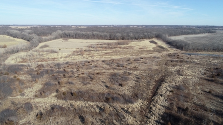 Daviess County Land Auction – Tract 3 Top-shelf Duck & Deer - image 36