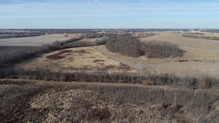 Daviess County Land Auction – Tract 3 Top-shelf Duck & Deer - image 33