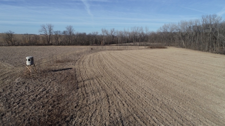 Daviess County Land Auction – Tract 3 Top-shelf Duck & Deer - image 38