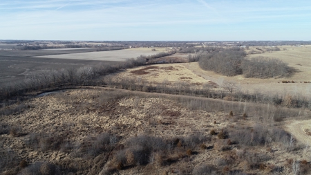 Daviess County Land Auction – Tract 3 Top-shelf Duck & Deer - image 34