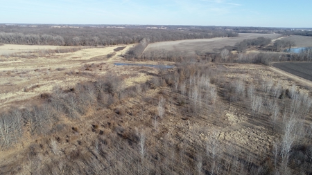 Daviess County Land Auction – Tract 3 Top-shelf Duck & Deer - image 37