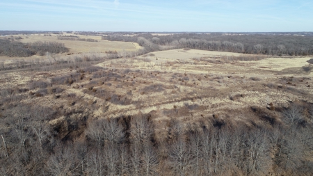 Daviess County Land Auction – Tract 3 Top-shelf Duck & Deer - image 31
