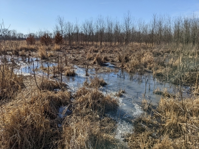 Daviess County Land Auction – Tract 3 Top-shelf Duck & Deer - image 21