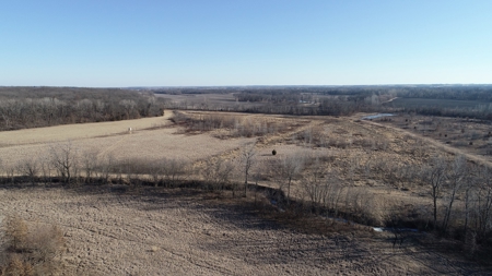 Daviess County Land Auction – Tract 3 Top-shelf Duck & Deer - image 7