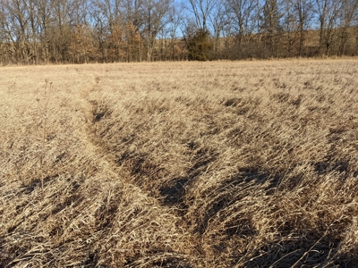 Daviess County Land Auction – Tract 3 Top-shelf Duck & Deer - image 20