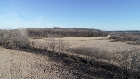 Daviess County Land Auction – Tract 3 Top-shelf Duck & Deer - image 6