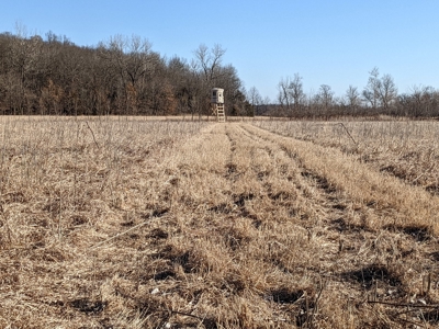Daviess County Land Auction – Tract 3 Top-shelf Duck & Deer - image 28