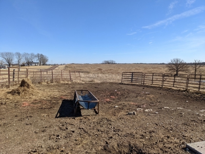 Daviess County Land Auction – Tract 3 Top-shelf Duck & Deer - image 11
