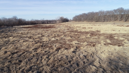 Daviess County Land Auction – Tract 3 Top-shelf Duck & Deer - image 41