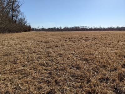 Daviess County Land Auction – Tract 3 Top-shelf Duck & Deer - image 18