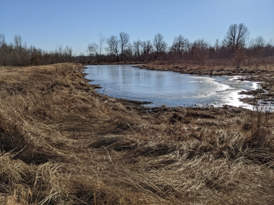 Daviess County Land Auction – Tract 3 Top-shelf Duck & Deer - image 27