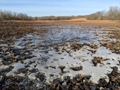 Daviess County Land Auction – Tract 3 Top-shelf Duck & Deer - image 16