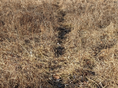Daviess County Land Auction – Tract 3 Top-shelf Duck & Deer - image 24