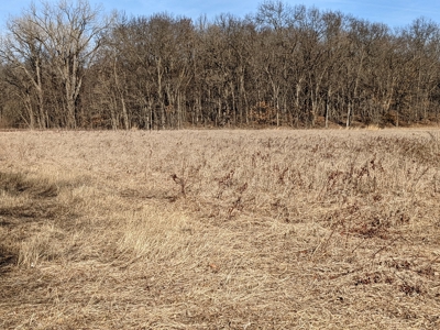 Daviess County Land Auction – Tract 3 Top-shelf Duck & Deer - image 26