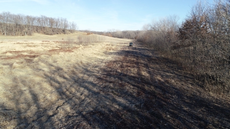 Daviess County Land Auction – Tract 3 Top-shelf Duck & Deer - image 42