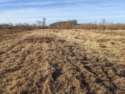 Daviess County Land Auction – Tract 3 Top-shelf Duck & Deer - image 19