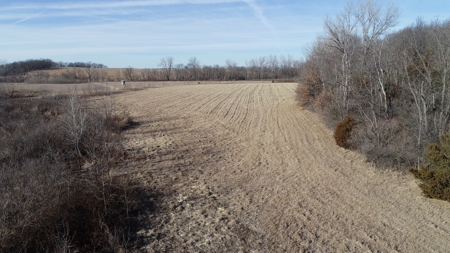 Daviess County Land Auction – Tract 3 Top-shelf Duck & Deer - image 4