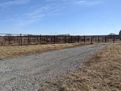 Daviess County Land Auction – Tract 3 Top-shelf Duck & Deer - image 9