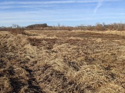 Daviess County Land Auction – Tract 3 Top-shelf Duck & Deer - image 23