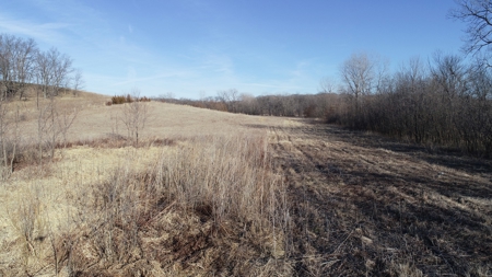 Daviess County Land Auction – Tract 3 Top-shelf Duck & Deer - image 40