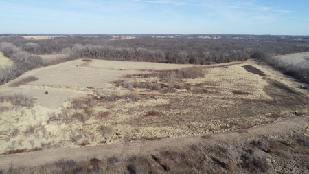 Daviess County Land Auction – Tract 3 Top-shelf Duck & Deer - image 35