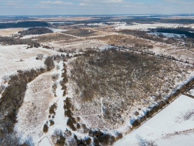 Live Multi-Parcel Auction Kelm Farm Marquette County WI - image 49