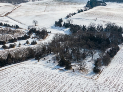 Live Multi-Parcel Auction Kelm Farm Marquette County WI - image 50