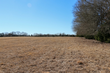 Land For Sale Texas Fannin Co Acreage Investment Recreation - image 31