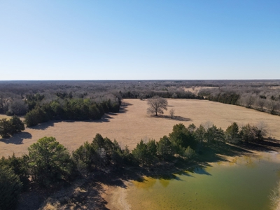 Land For Sale Texas Fannin Co Acreage Investment Recreation - image 3