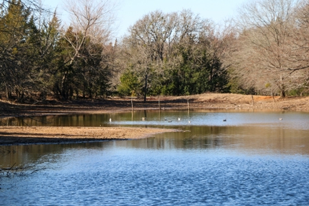 Land For Sale Texas Fannin Co Acreage Investment Recreation - image 28