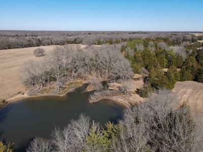 Land For Sale Texas Fannin Co Acreage Investment Recreation - image 24